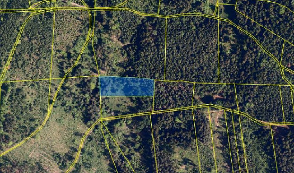 Prodej pole 16 887 m², Milíkov – náhled fotky 5
