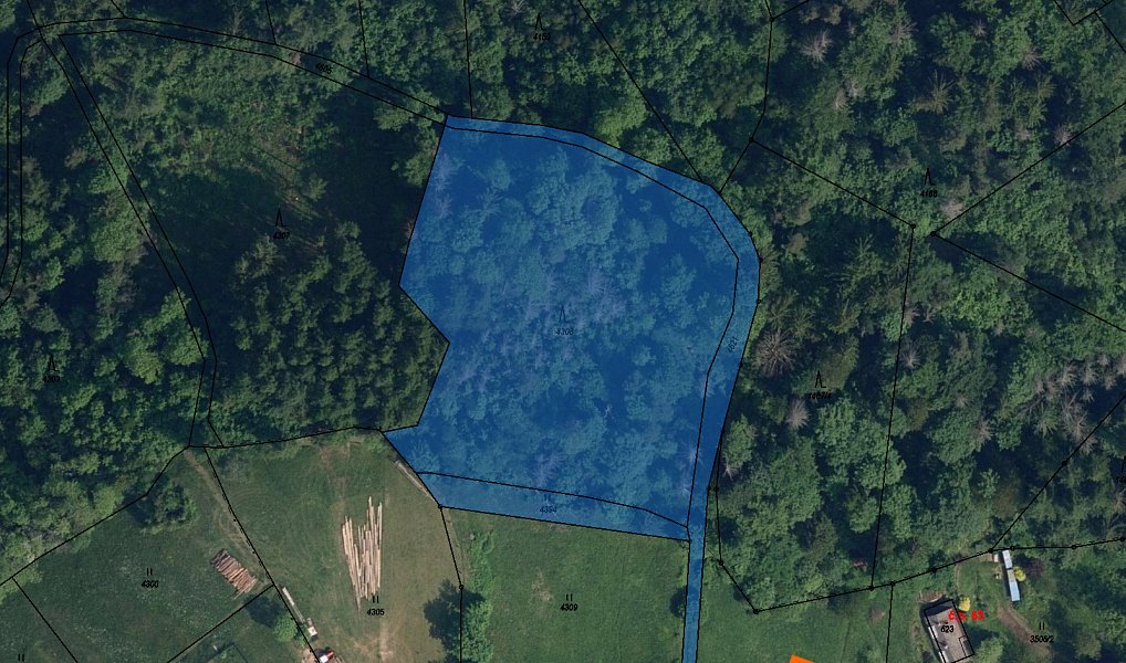 Prodej lesa, 3724 m², Jablonec nad Nisou, Koberovy