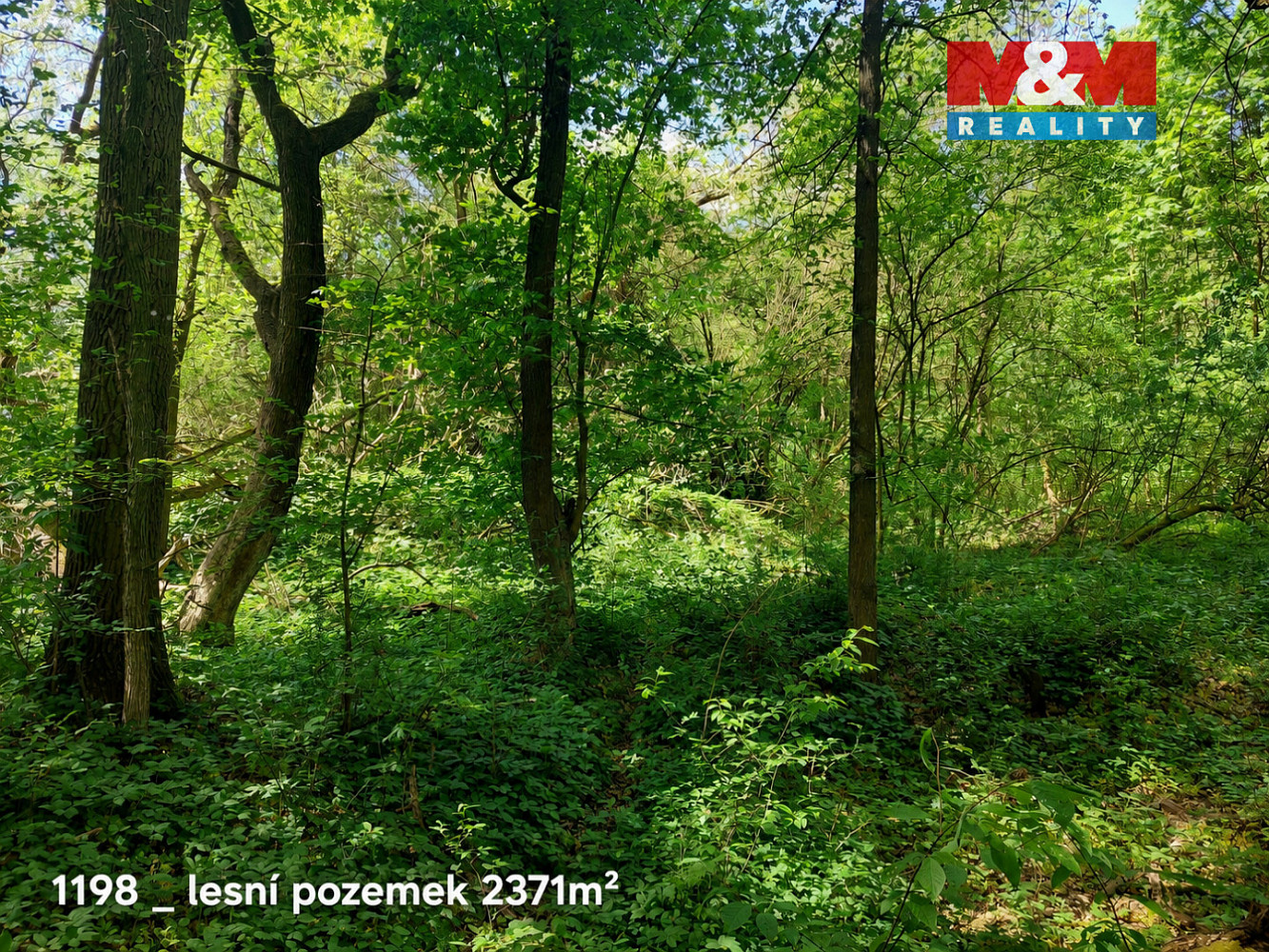 Prodej pozemku 151 762 m² — photo 2