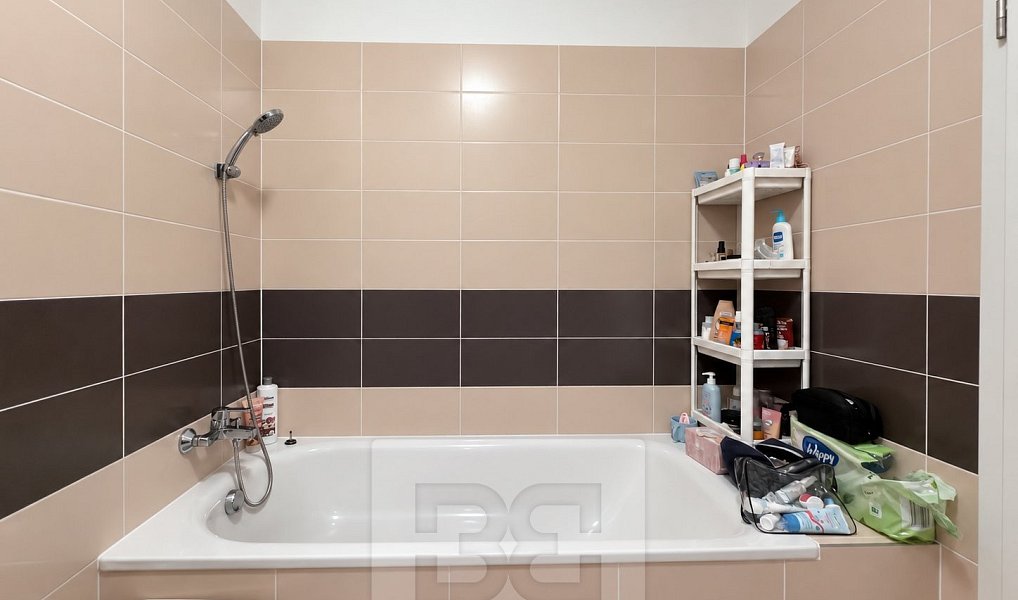Pronájem bytu 1+kk 35 m², Praha – náhled fotky 5