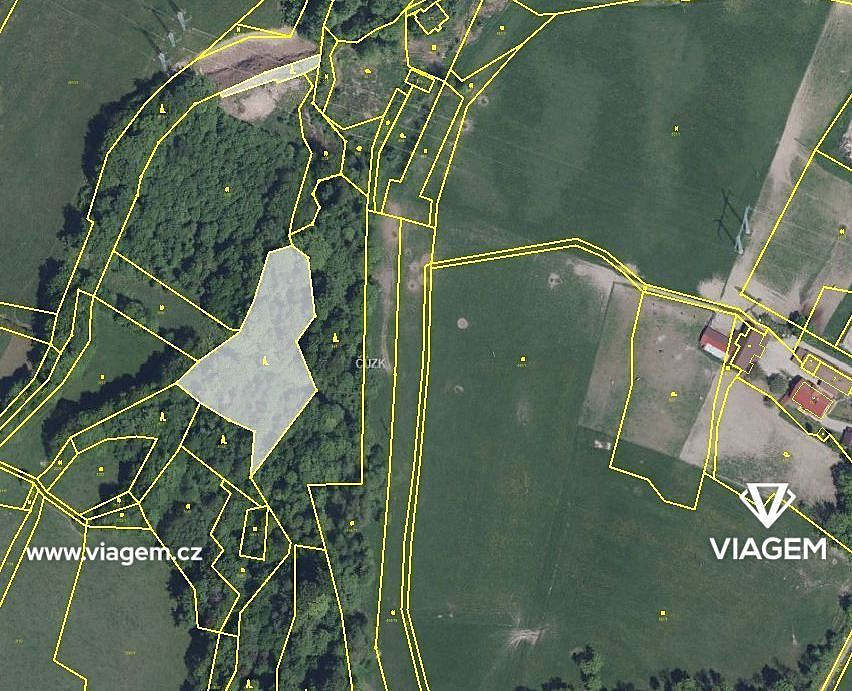Prodej lesa 982 m²