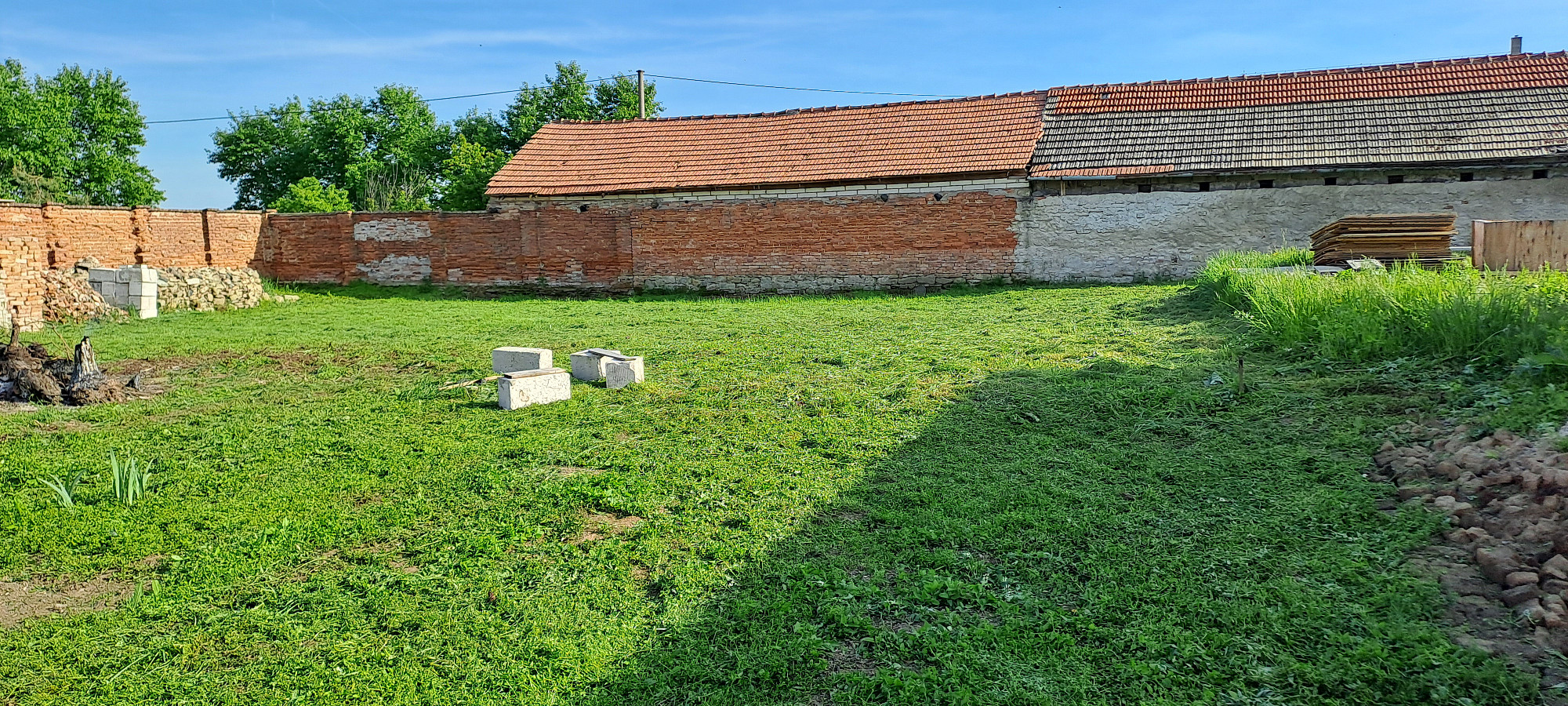 Fotka 10 z 12