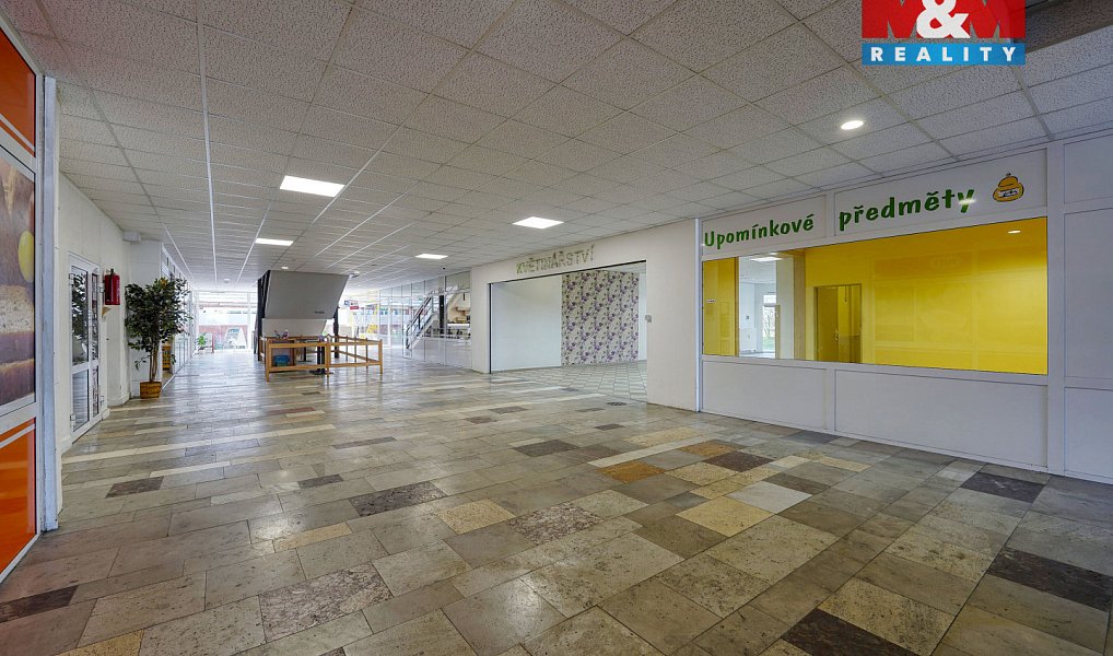 Pronájem obchodních prostor 133 m², Třemošná – náhled fotky 17