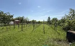 Ostatní