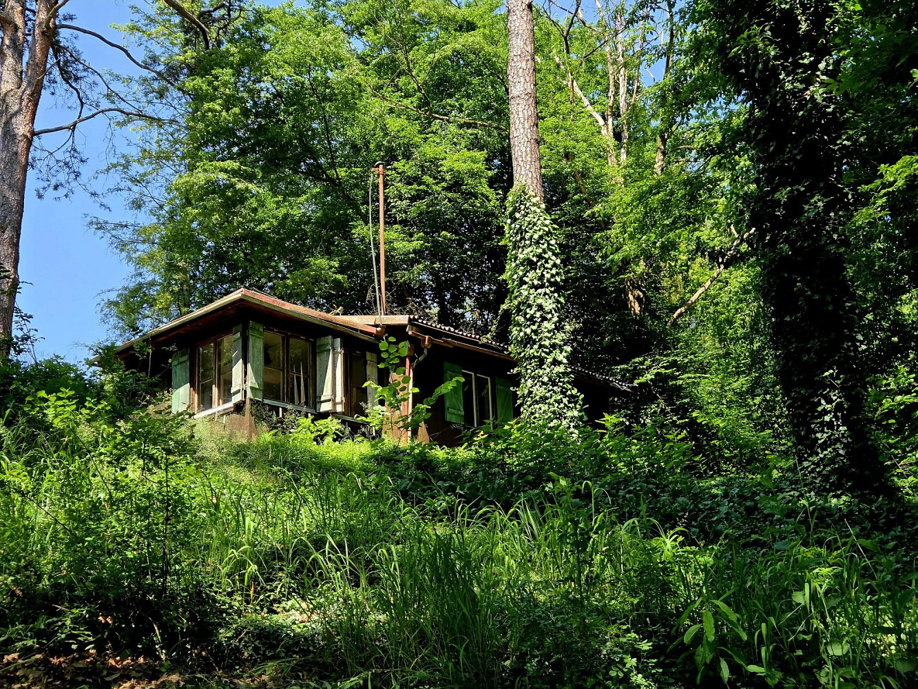 Prodej stavebního pozemku 588 m² – fotografie 5