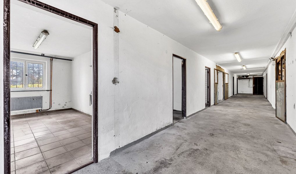 Pronájem skladovacích prostor 1 800 m², Letkov – náhled fotky 9
