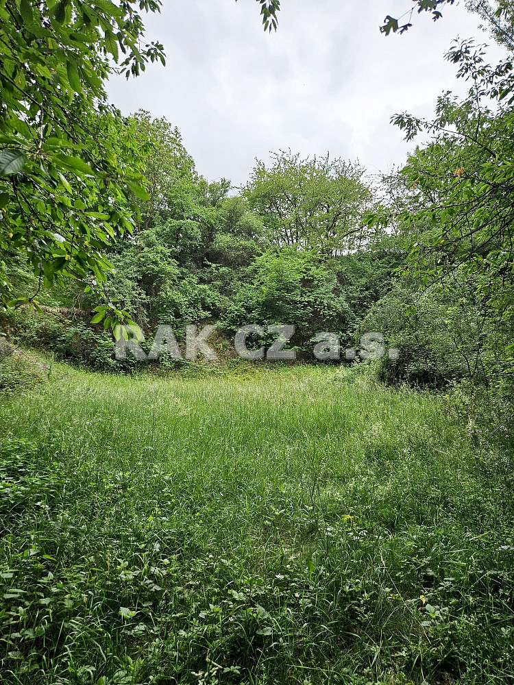 Prodej pozemku 47 568 m² – fotografie 5