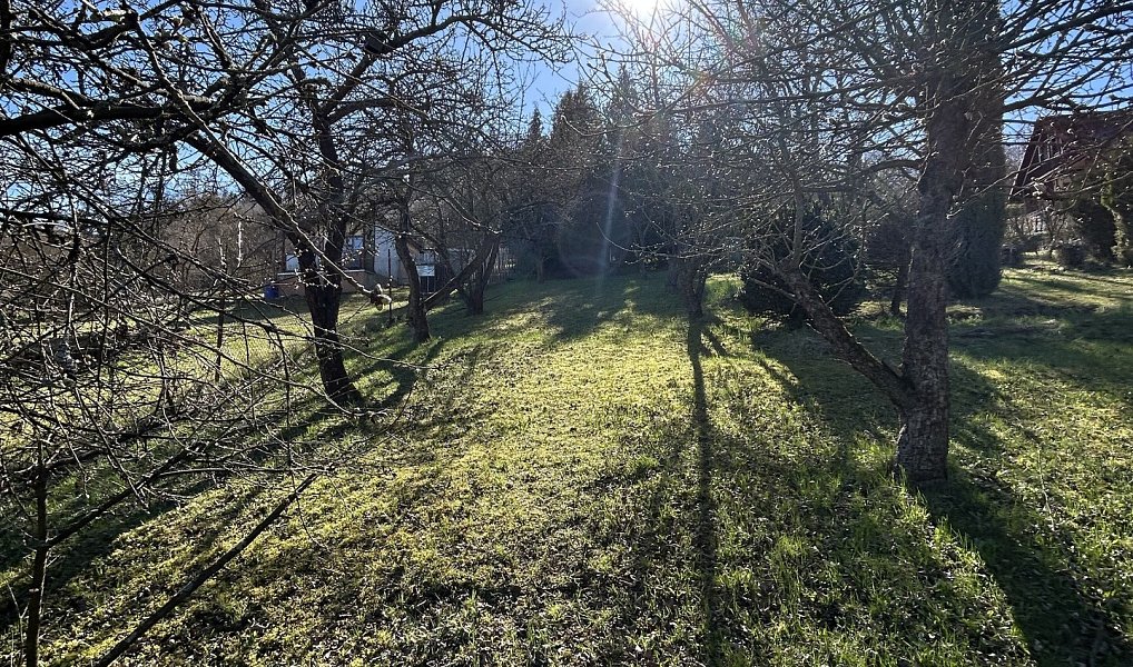 Prodej zahrady 654 m², Brněnec – náhled fotky 5