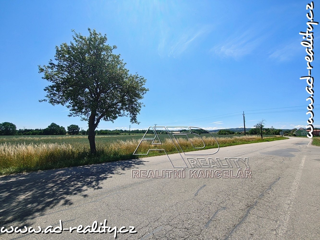 Prodej pole 3 872 m² – fotografie 5