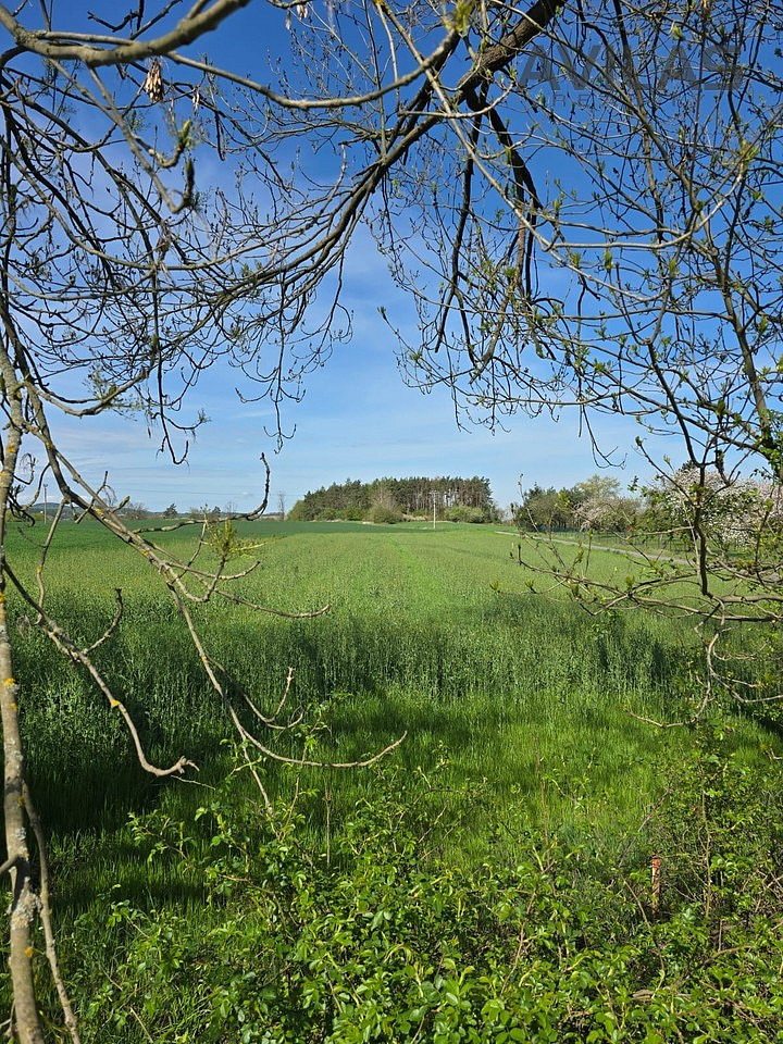 Fotka 6 z 11