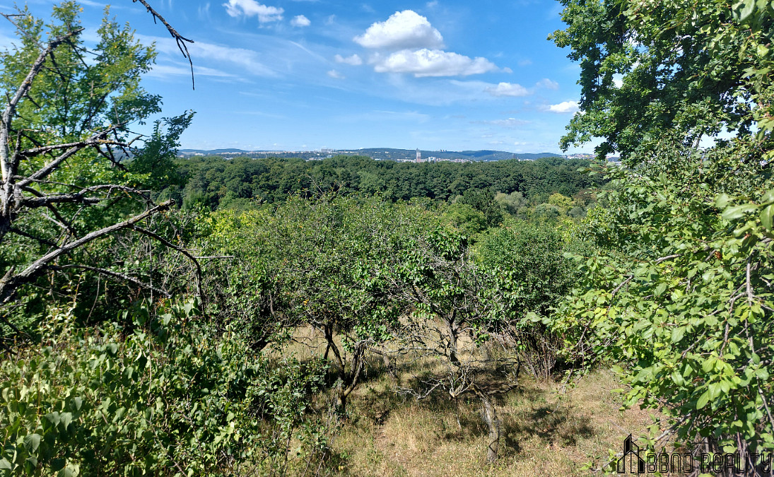 Prodej zahradních pozemků, celkem 1 578 m², Brněnské Ivanovice – pohled 4