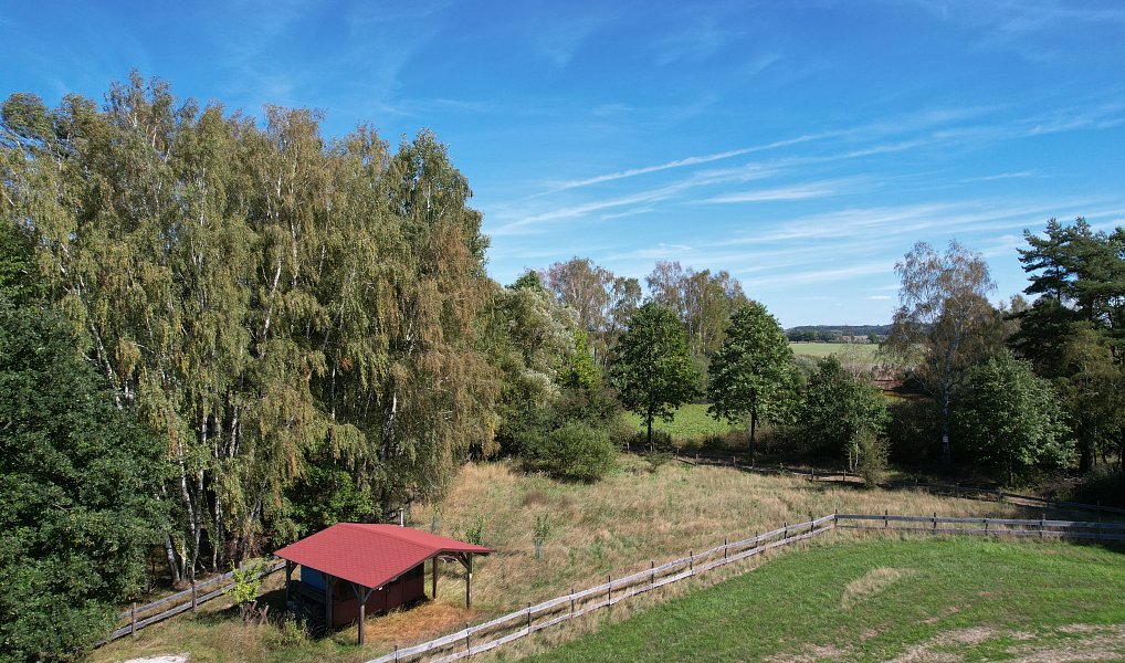 Prodej pozemku 1 427 m², Bor – náhled fotky 2