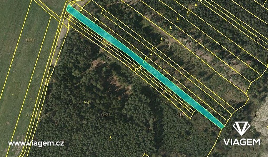 Prodej lesa 3 880 m², Drahov – náhled fotky 2