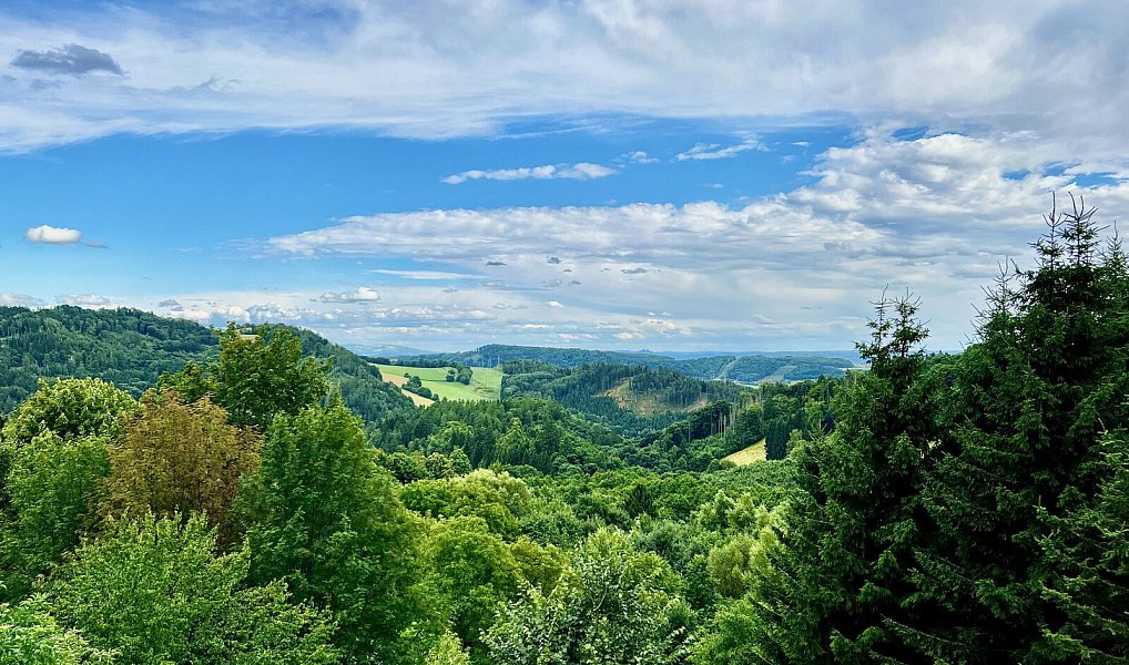 Prodej chaty/chalupy 200 m² s pozemkem 722 m², Hodkovice nad Mohelkou – náhled fotky 8