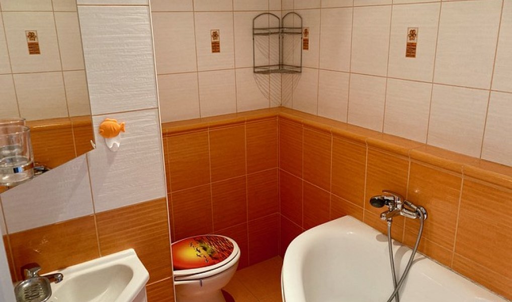 Pronájem bytu 1+kk 24 m², Třeboň – náhled fotky 5