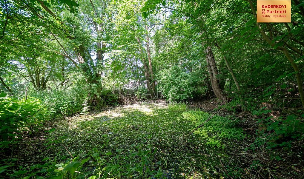 Prodej stavebního pozemku 2 911 m², Březina – náhled fotky 16