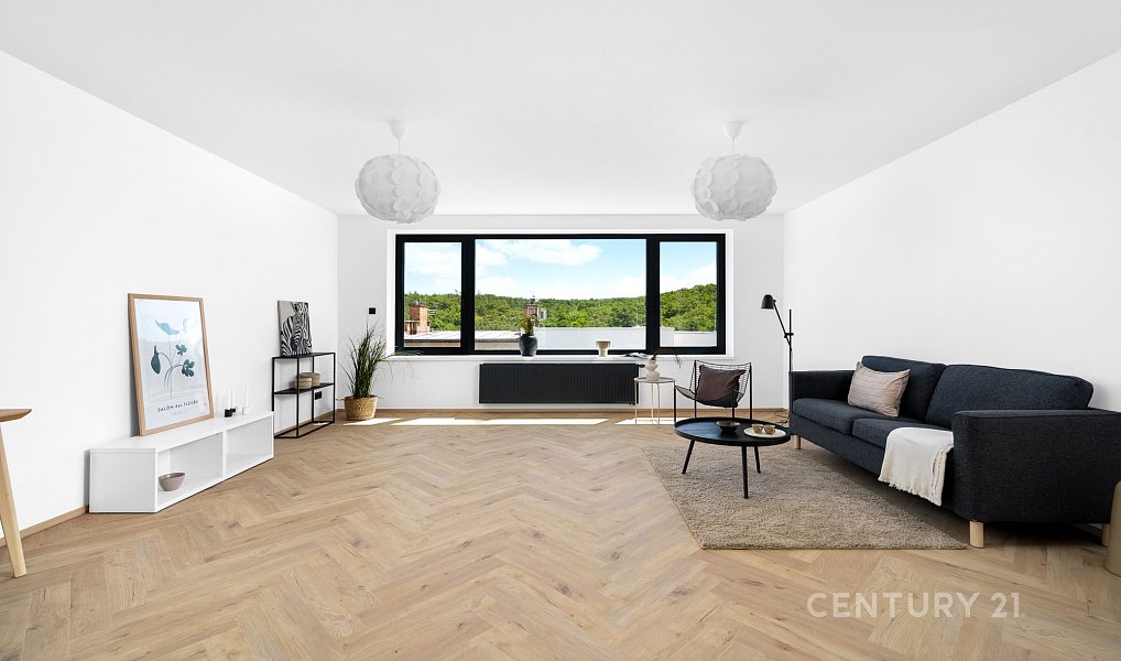 Prodej bytu 4+kk 143 m², Brno – náhled fotky 4