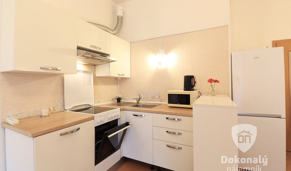 Pronájem bytu 2+kk 56 m², Praha – náhled fotky 5