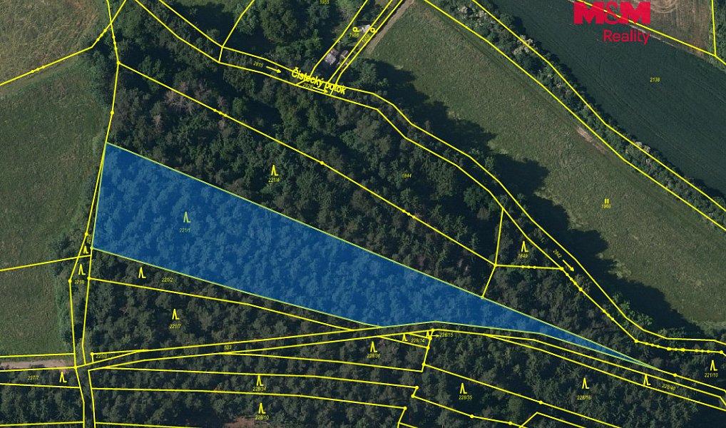 Prodej lesa 5 988 m², Břežany – náhled fotky 2