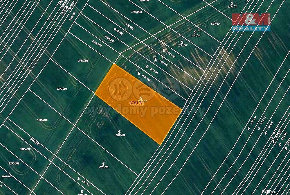 Prodej pole 2 601 m² – fotografie 5