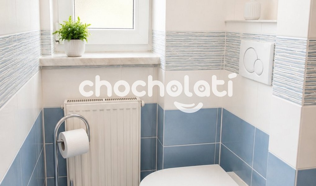Pronájem bytu 2+1 59 m², Prachovice – náhled fotky 4