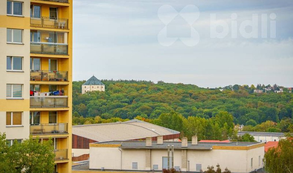 Prodej bytu 2+kk 43 m², Praha – náhled fotky 24