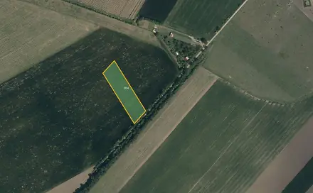 Prodej pole 4 852 m², Tvarožná Lhota, okres Hodonín
