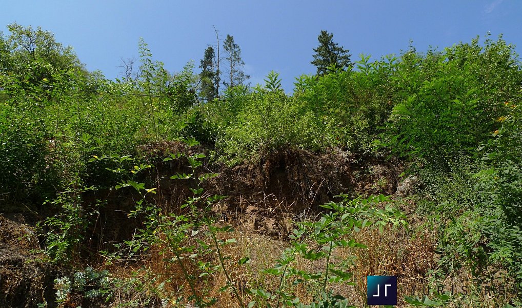 Prodej stavebního pozemku 773 m², Černošice – náhled fotky 14