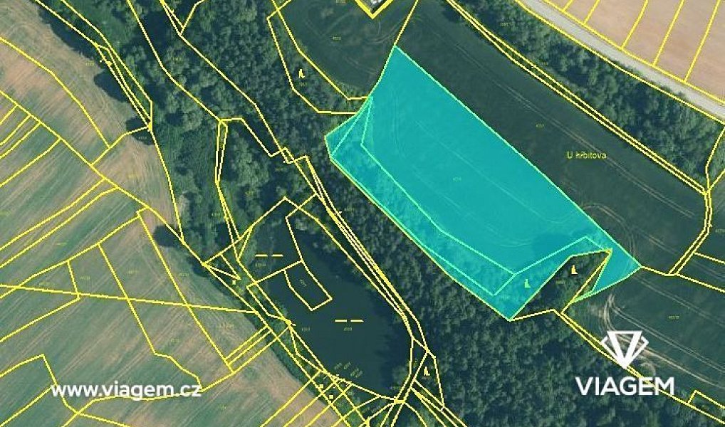 Prodej lesa 1 683 m², Dobříč – náhled fotky 3