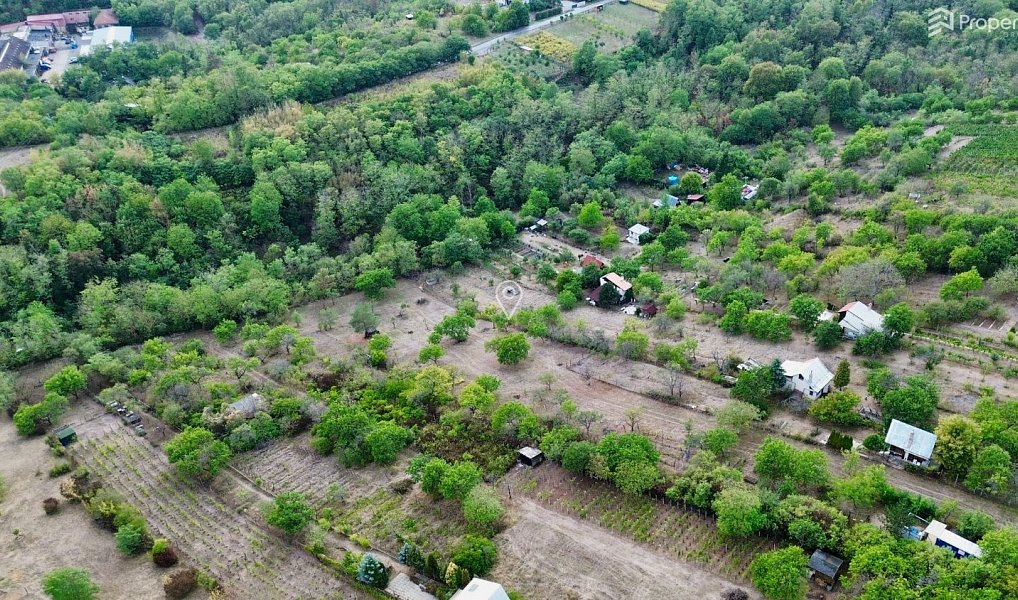 Prodej zahrady 985 m², Dolní Kounice – náhled fotky 7
