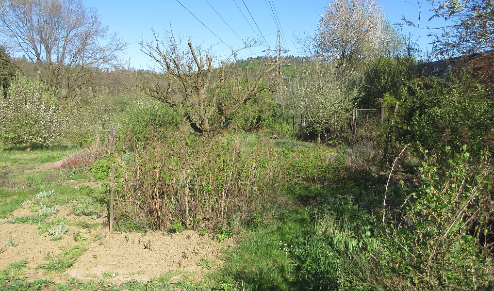 Prodej zahrady 1 392 m², Brno – náhled fotky 6