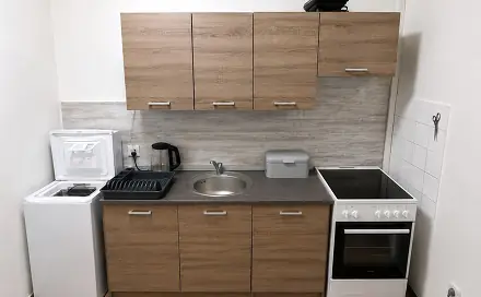 Pronájem bytu 2+1 53 m², Železná, Ústí nad Labem - Neštěmice