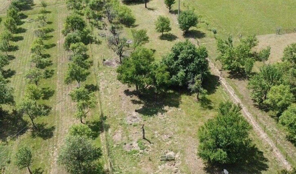 Prodej pole 1 102 m², Slavičín – náhled fotky 4