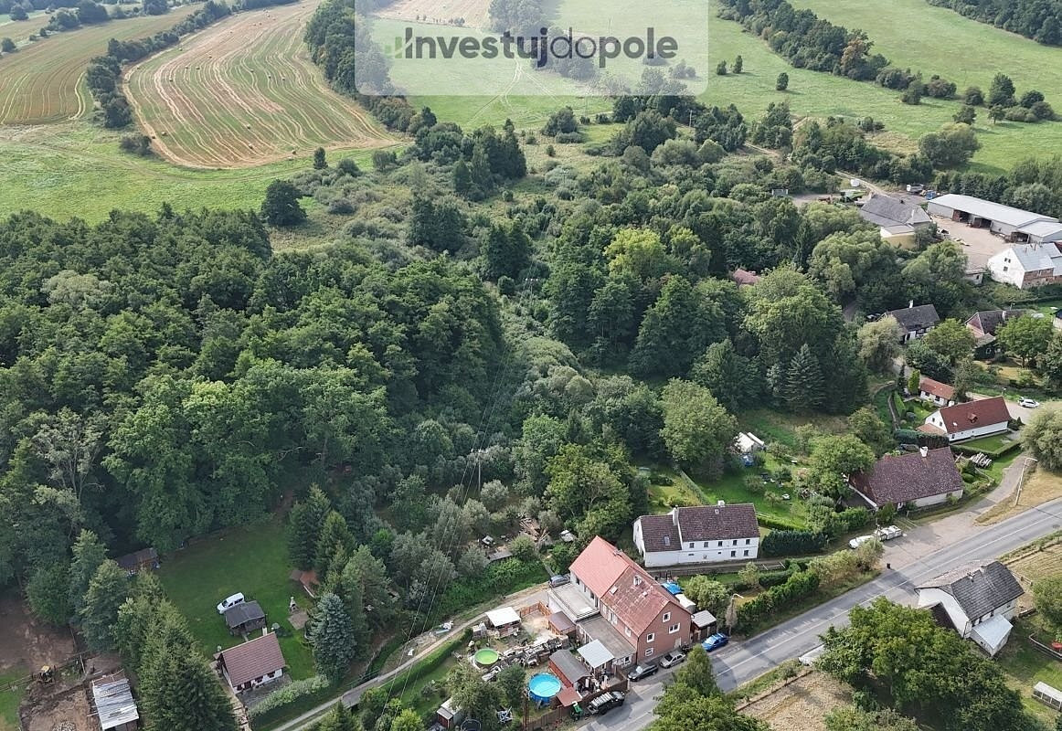 Prodej louky 21 884 m² – fotografie 4