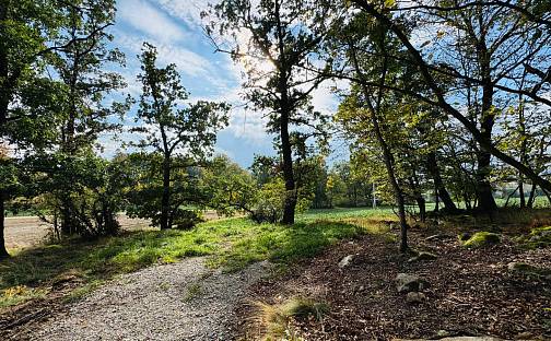 Prodej lesa 470 m², Postupice - Pozov, okres Benešov