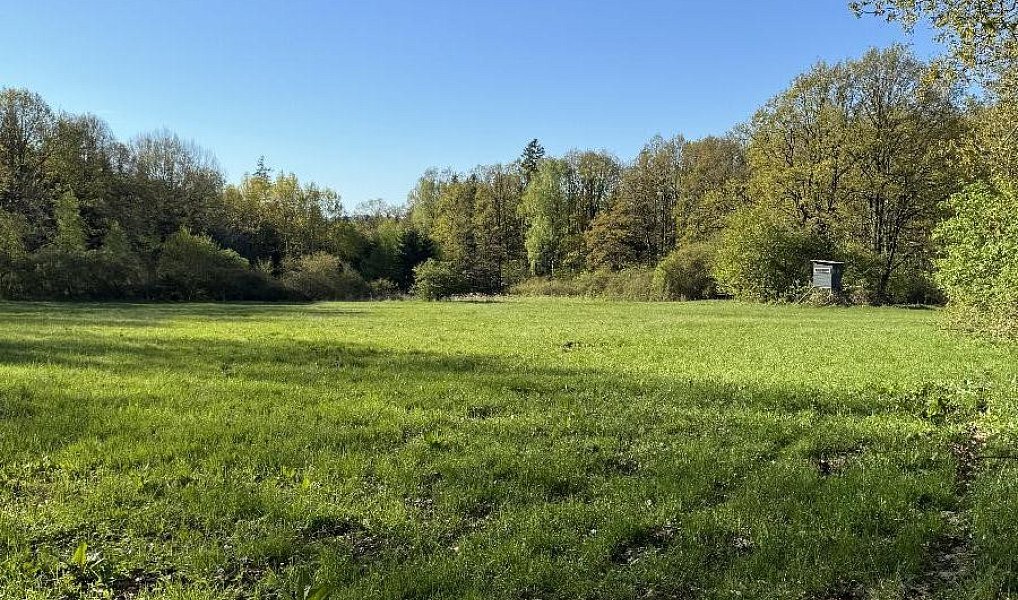 Prodej pozemku 20 250 m², Nýřany – náhled fotky 6