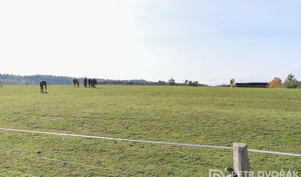 Prodej stavebního pozemku 470 m², Babice – náhled fotky 20