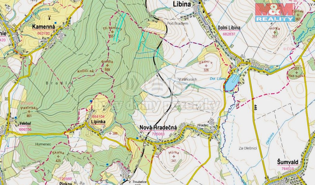 Prodej lesa 28 654 m², Nová Hradečná – náhled fotky 2