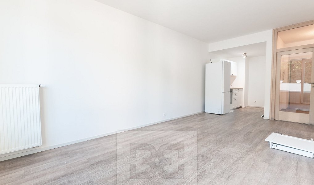 Pronájem bytu 2+kk 43 m², Praha – náhled fotky 4