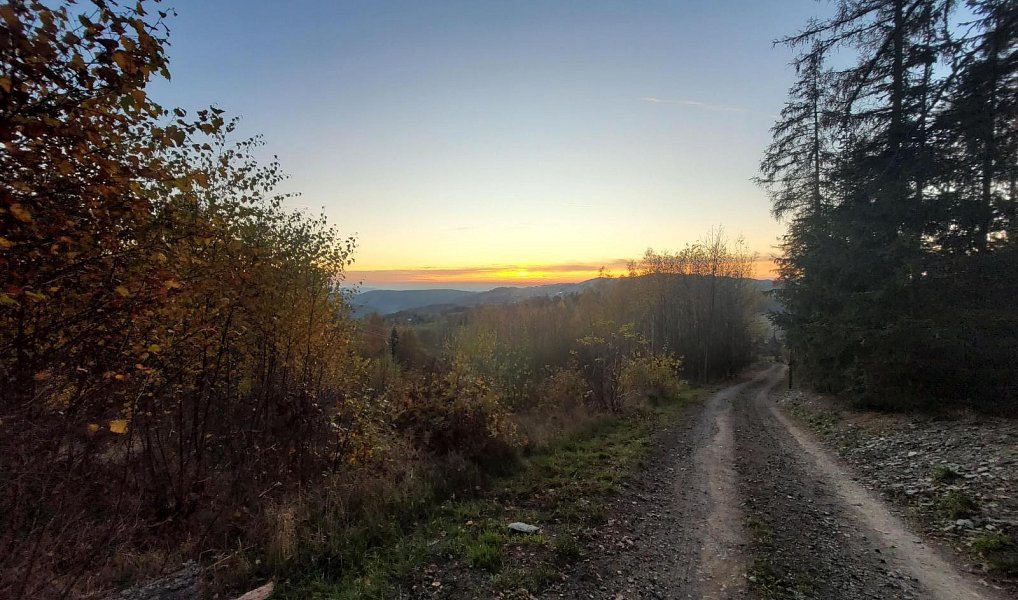 Prodej louky 6 834 m², Železný Brod – náhled fotky 8