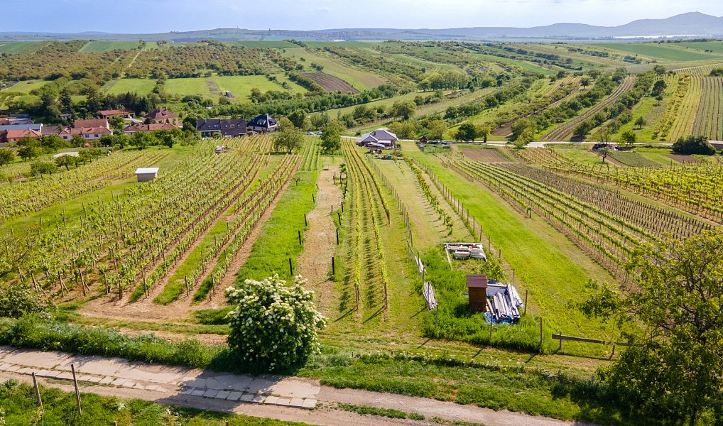 Prodej stavebního pozemku 1 528 m², Velké Pavlovice – náhled fotky 3
