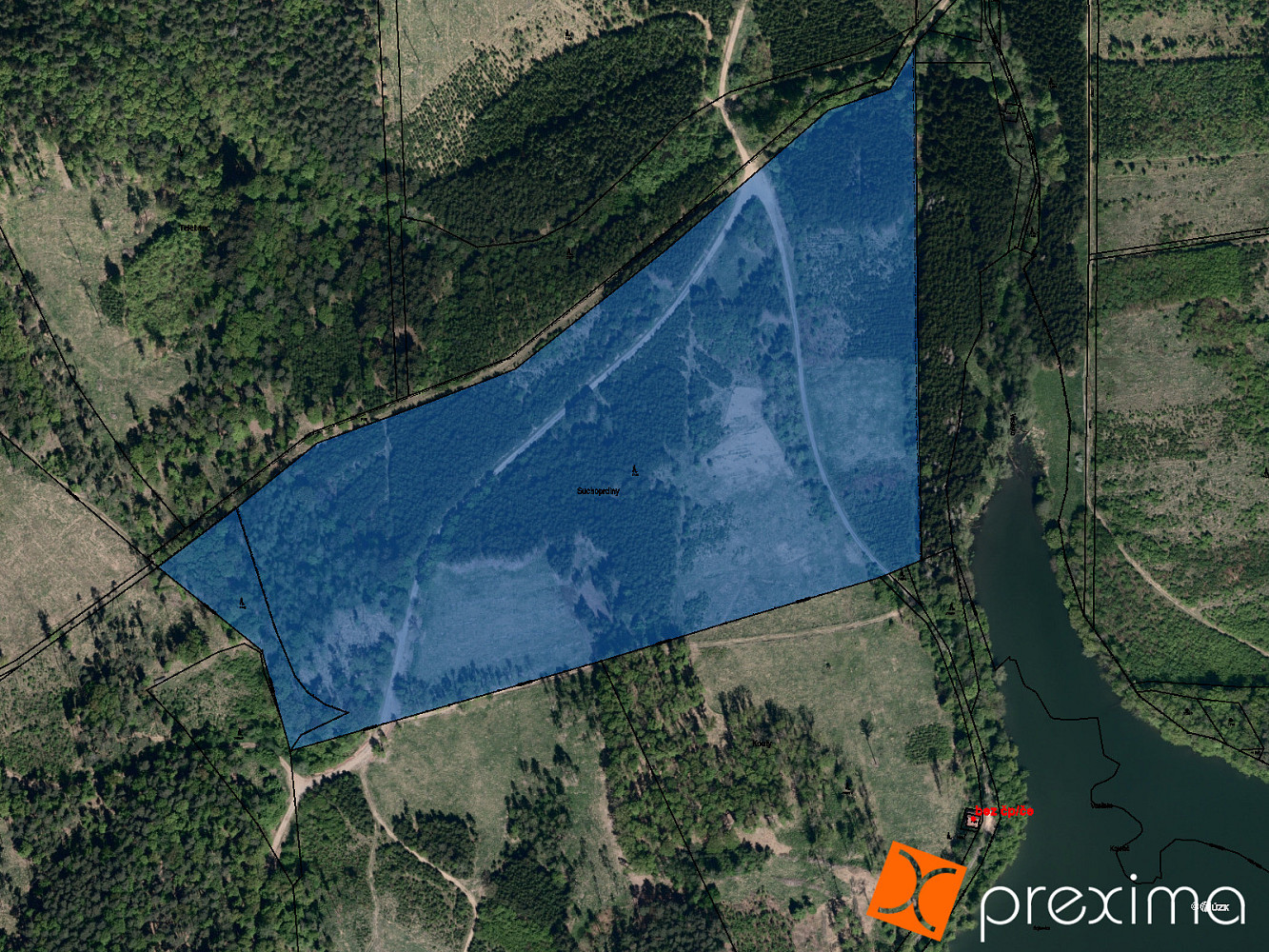 Prodej lesa 535 m²