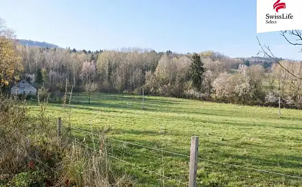Prodej louky 5 616 m², Brloh, okres Český Krumlov