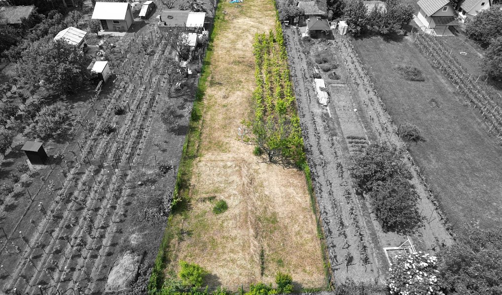 Prodej zahrady 935 m², Mikulov – náhled fotky 8