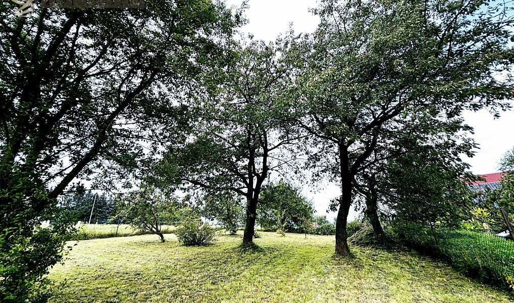 Prodej chaty/chalupy 223 m² s pozemkem 1 564 m², Velké Petrovice – náhled fotky 4