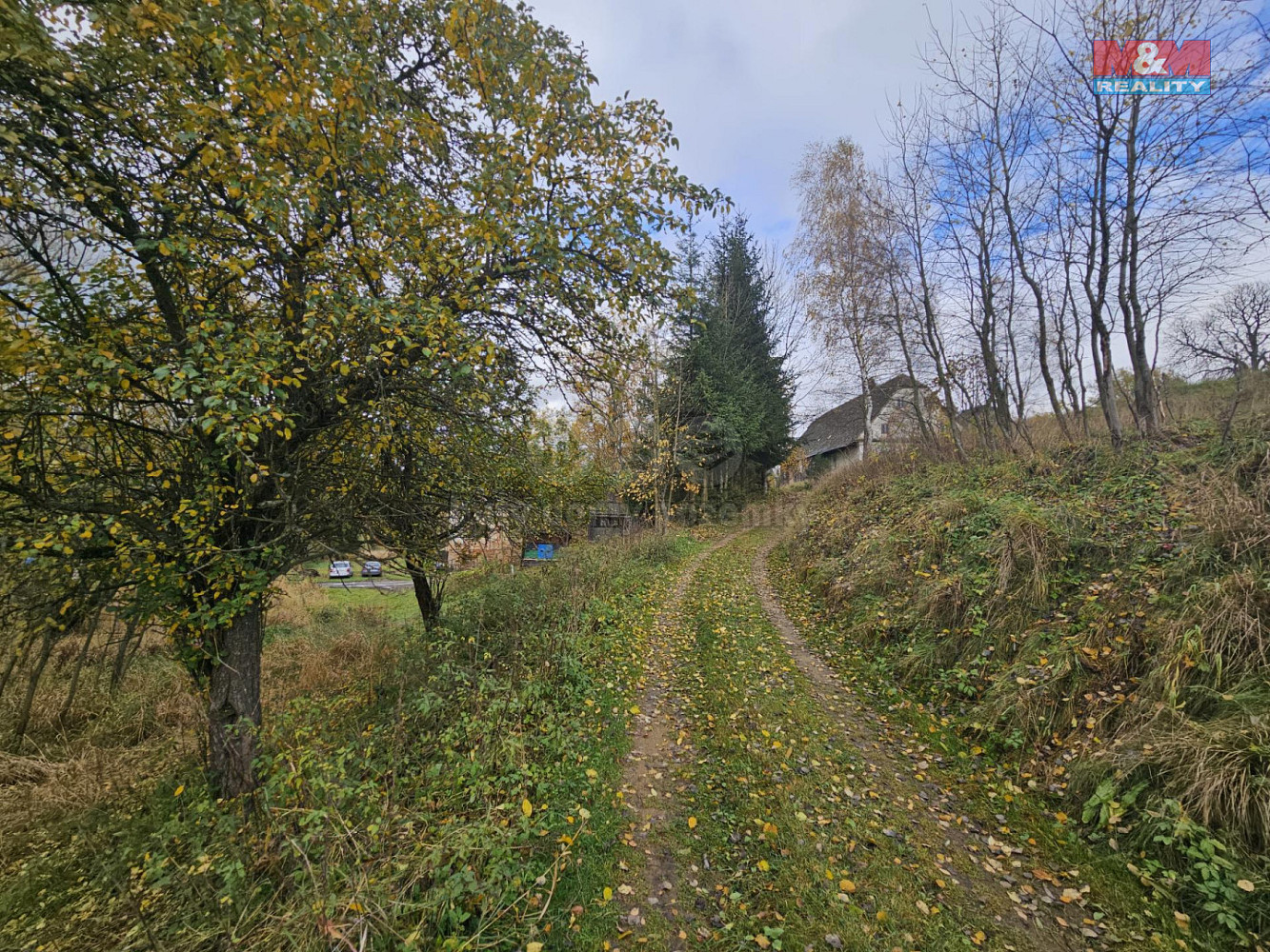 Prodej louky 1 636 m² — photo 5