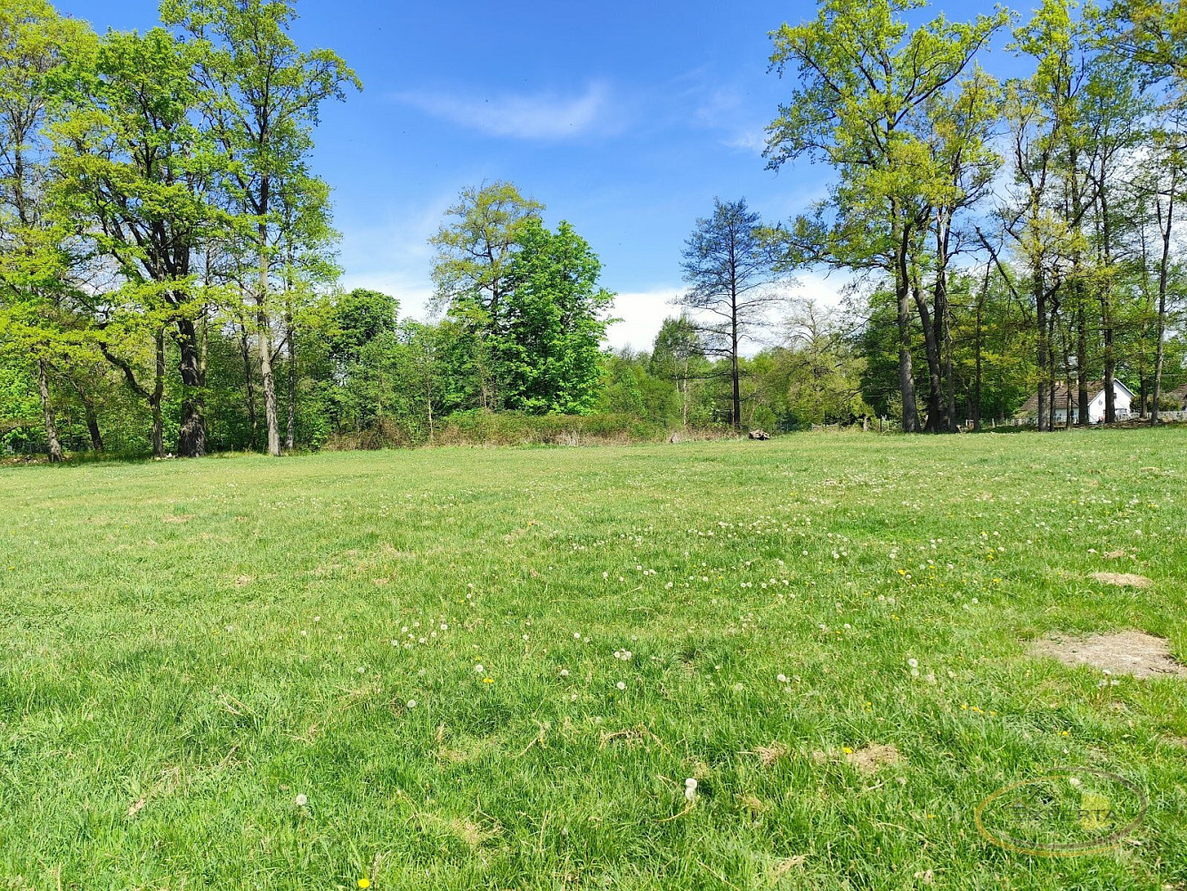 Prodej louky 2 500 m² – fotografie 2
