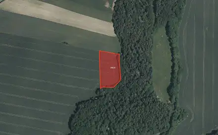 Prodej pole 3 923 m², Příbram - Zavržice