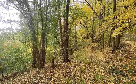 Prodej pozemku 2 639 m², Svijany, okres Liberec
