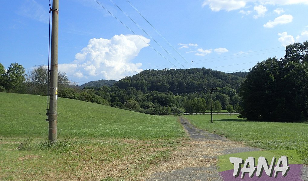 Prodej louky 49 051 m², Hodkovice nad Mohelkou – náhled fotky 12